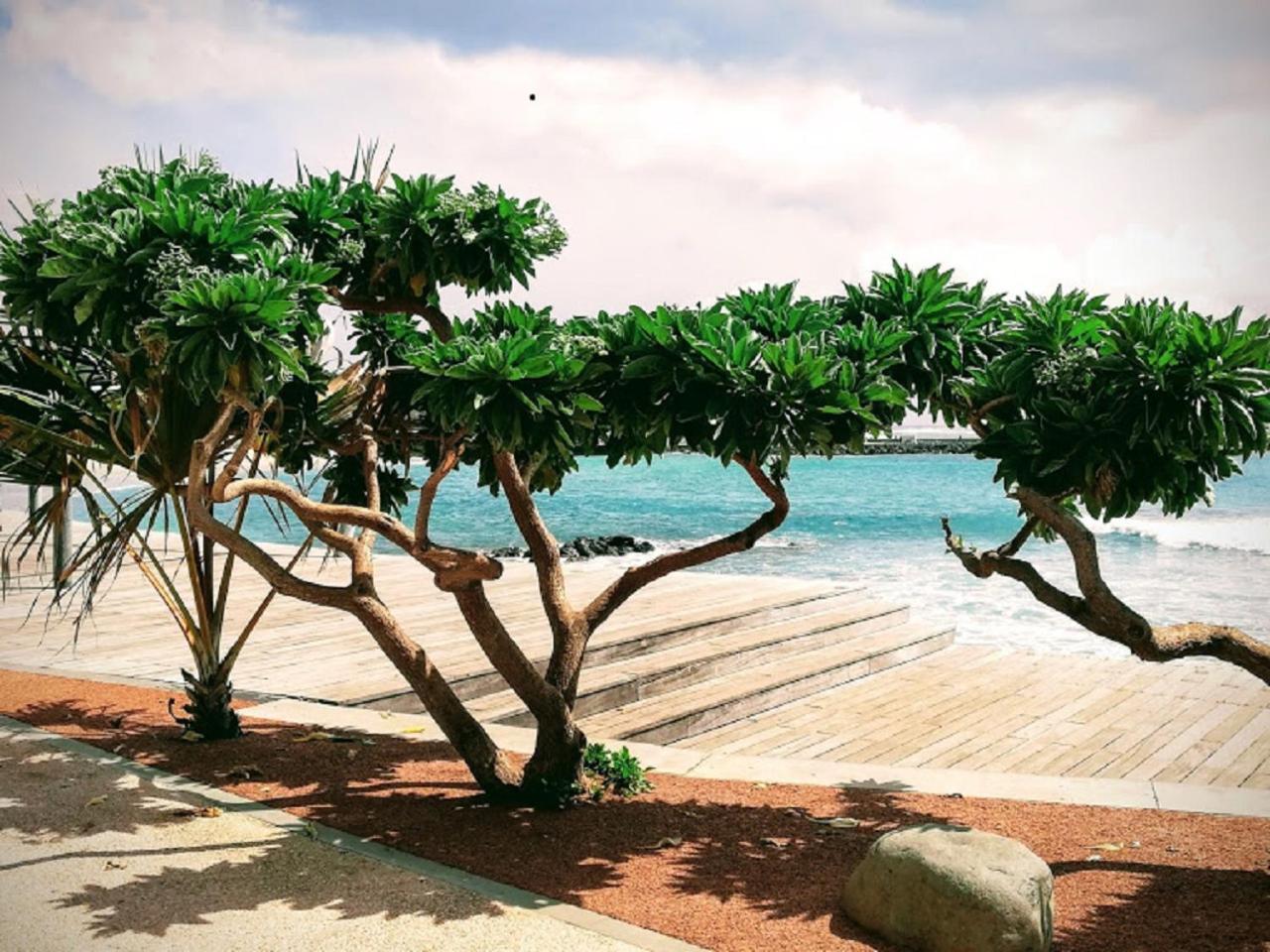 Le Ceylan Daire Saint-Paul Dış mekan fotoğraf